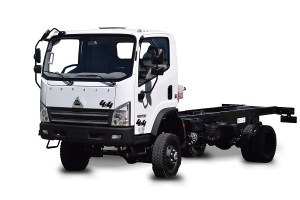 Caminhão100004x4